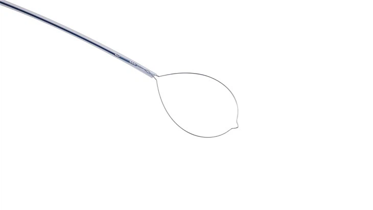 Polypectomy Snare Single Use