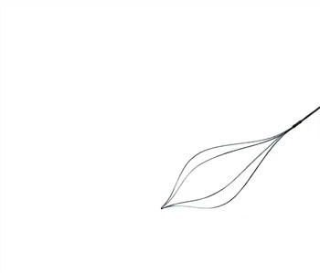 Single Use Stone Retrieval Basket ERCP